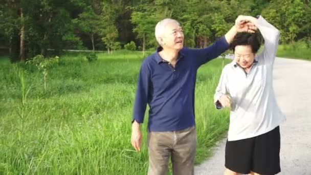 Video of Happy asian senior couple pointing, talking and walk through the park with mountain background — Stock Video