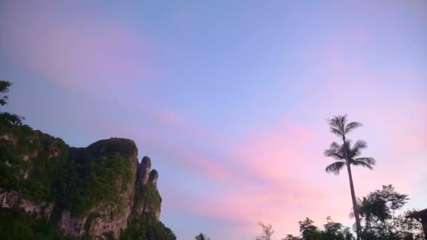 Kireçtaşı dağ alacakaranlıkta, mor Günbatımı ile palmiye ağacı, Krabi, Tayland — Stok video