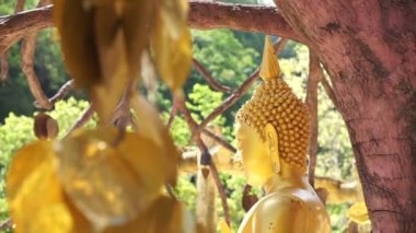 Katmanlar altın yaprakları ağacın arkasındaki altın Buddha heykel heykeli HD tam