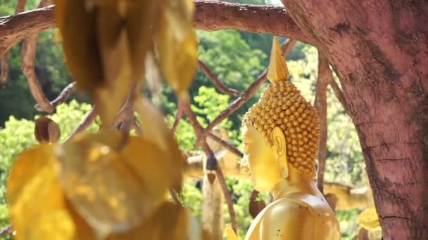 Full HD Escultura de oro Buda escultura detrás de capas de hojas de oro árbol — Vídeos de Stock