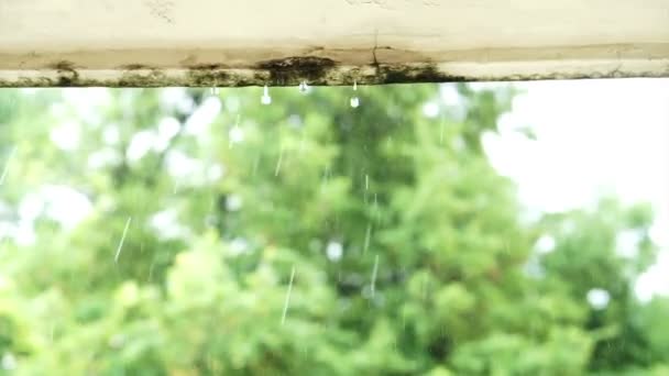 Gotas de lluvia fuerte goteando desde el borde del edificio de concreto — Vídeos de Stock