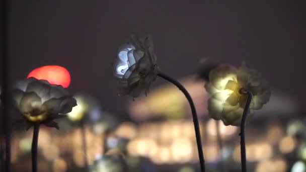 韩国，首尔-，2016 年 6 月︰ 东大门设计广场 Ddp 装置艺术的 Led 玫瑰。旅游美丽的诱惑 — 图库视频影像