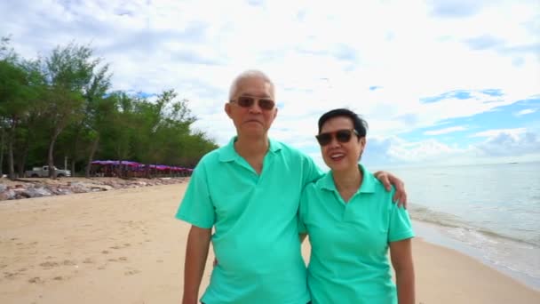 Asiático casal sênior stand na praia em olhar para o oceano — Vídeo de Stock