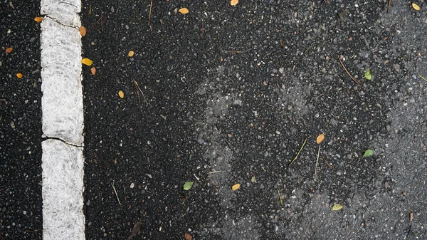 Textura da estrada de asfalto com folhas laranja caindo — Fotografia de Stock