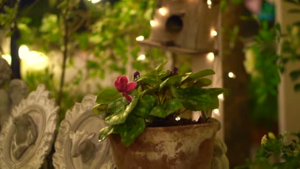 祭りの装飾的な光の夜ロマンチックな結婚式または庭でダイニングをぼかし — ストック動画