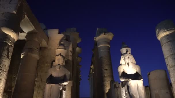 夜の豪華な寺院エジプトのランドマーク建築や彫刻をライトアップ — ストック動画