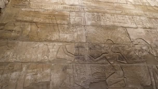 カルナック神殿の象形文字ルクソールエジプトの壁アムン ラ神の崇拝を示す — ストック動画
