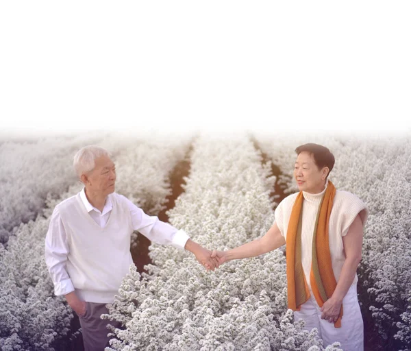 Happy romantic Asian elder senior couple at morning beautiful white flower field  together