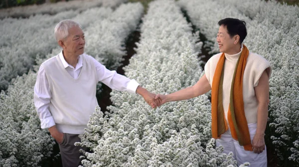 快乐浪漫的亚洲老年夫妇在早晨美丽的白花地在一起 — 图库照片