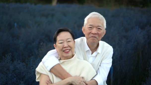 Asiático Feliz Senior Pareja Celebrando Retiro Invierno Flor Campo Azul — Vídeos de Stock