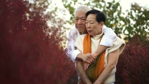 Asijské Senior Starší Pár Líbání Tvář Květinové Louce Pole Trvalý — Stock video