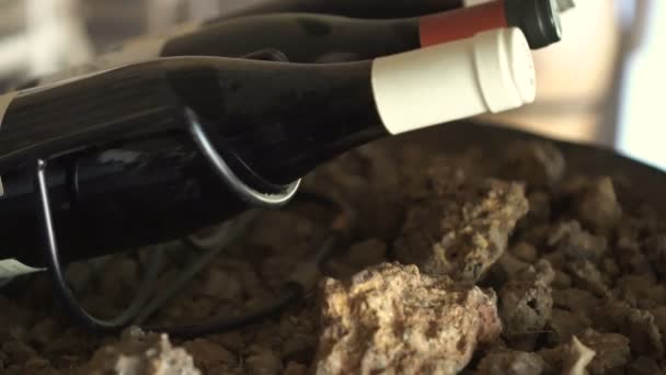Esposizione Bottiglie Vino Polveroso Nel Cortile Cantina Sud Africa — Video Stock