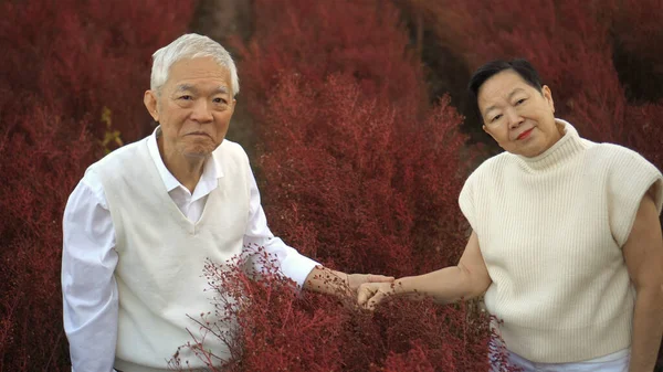 Asiático Seniro Casal Amor Diversão Rir Enquanto Segurando Mão Campo — Fotografia de Stock