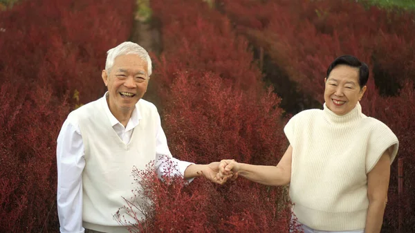 Asiatische Senioren Paar Liebe Und Spaß Lachen Während Hand Hand — Stockfoto