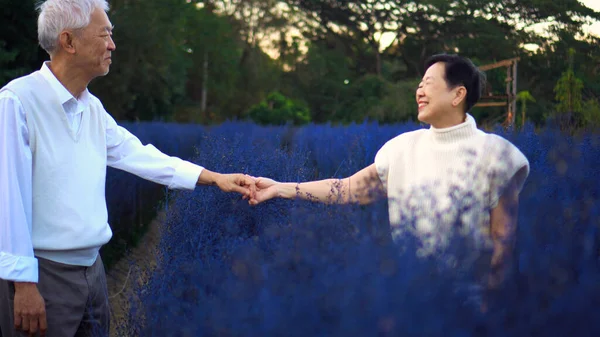 快乐的亚洲老夫妻快乐的冬季蓝色花田魔法时刻 — 图库照片