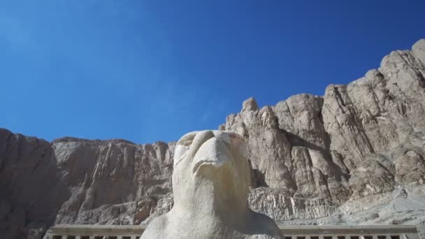 Sokol Horus Socha Před Márnice Chrám Hatshepsut Luxor Egypt Nízké — Stock video