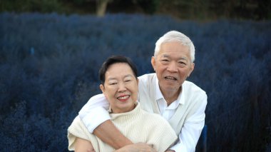 Mor çiçek tarlasında Asyalı yaşlı çift flört yıldönümüne sarılıyor.