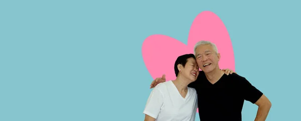 Asiatische Senioren Paar Umarmen Studio Erschossen Banner Mit Copu Raum — Stockfoto