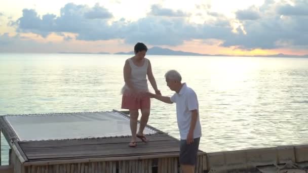 Asian Senior Couple Exploring Ocean Beach Net Set Morning Pastel — Stock Video