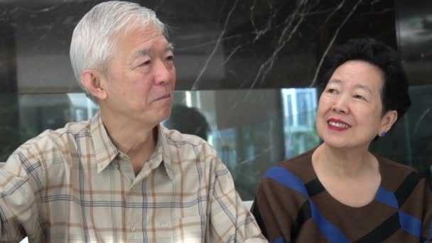 Asyalı Yaşlı Çift Ele Tutuşarak Mutlu Bir Şekilde Konuşuyorlar Letişim — Stok video