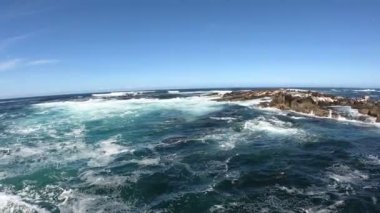 Fok Adası Cape Town Güney Afrika tekne gezisinde vahşi hayvanlar turistlerle oynamak için tekneye yakın yüzerler.