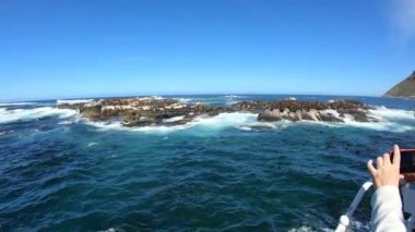 Cape Town, Güney Afrika yakınlarındaki Seal Island tekne gezisi vahşi yaşam memeli kolonisi geniş açılı mavi gökyüzü