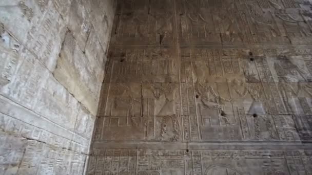 Egipto Edfu Horus Templo Jeroglífico Alto Muro Toda Cara Dios — Vídeo de stock