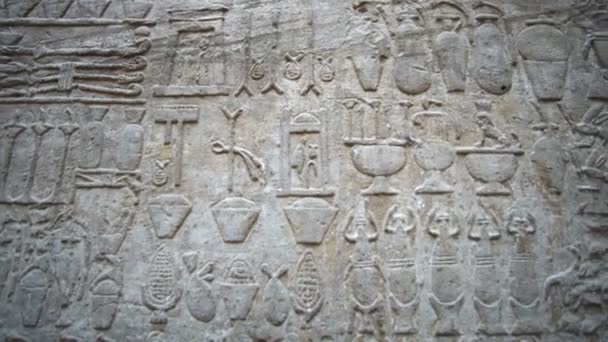 エジプトの台所と料理の料理と食事のレシピを示すEdfyの寺院ナイル豊かな象形文字 — ストック動画