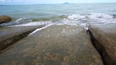 40 milyon yıllık Phuket Tayland deniz kabuğu kireç taşı kabuklu deniz ürünleri tarafından sıkıştırıldı.