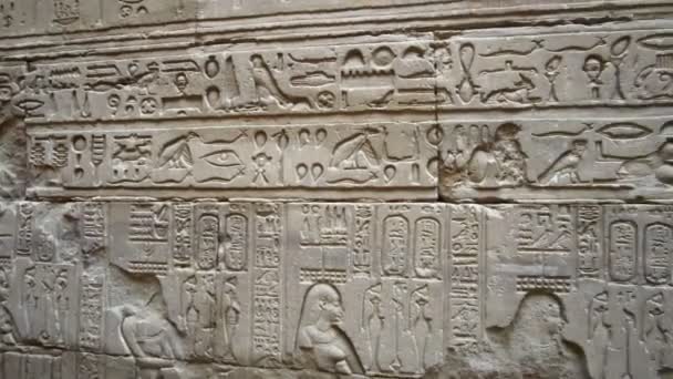Egyptský Hieroglyfický Kámen Vytesaný Edfu Chrámu Cestování Destiantion Panning Záběr — Stock video