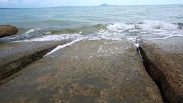 Shell Hřbitov Miliónů Let Phuket Thajsko Shelly Vápenec Dostal Lisované — Stock video