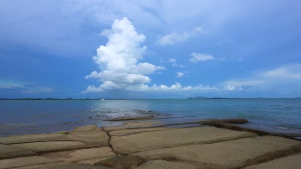 Shell Cemetery Millones Años Edad Phuket Tailandia Shelly Piedra Caliza — Vídeo de stock