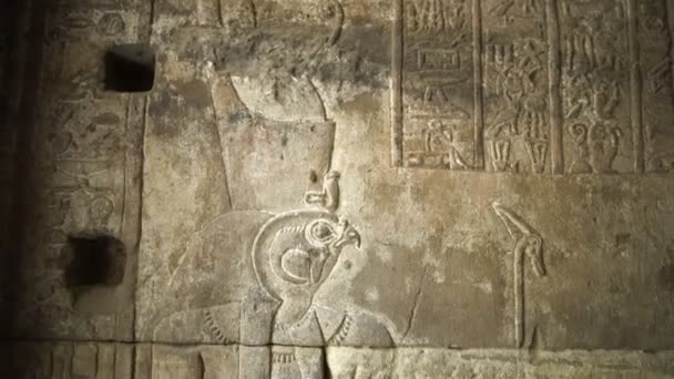 荷鲁斯鹰神浮雕异教徒艺术在伊德福庙宇墙上 — 图库视频影像