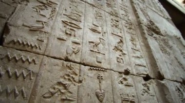 Edfu tapınağındaki hayvan hiyeroglifleri duvarı Mısır harfleri.