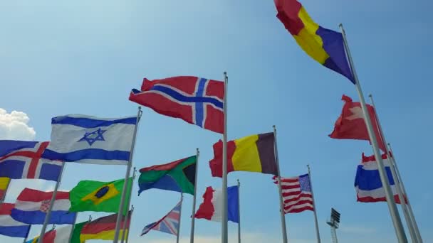 Internacionales Coloridas Banderas Múltiples Balanceo Viento Aire Libre Abstracto Colaboración — Vídeo de stock