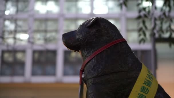 Tokyo Japan Sep 2015 Hachiko Loyal Statue Shibuya Tourist Landmark — Stock Video