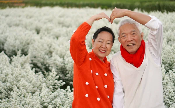Asijské Senior Starší Pár Objímání Svetr Slavit Vánoce Nový Rok — Stock fotografie
