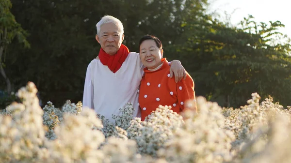 Asiatische Senioren Paar Umarmt Pullover Celecrate Weihnachten Und Neujahr Urlaub — Stockfoto