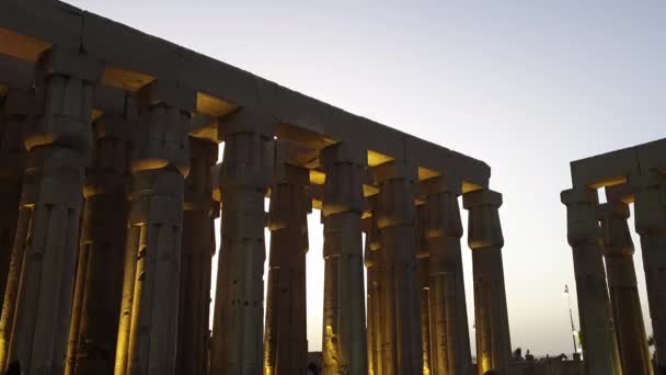 Luxor Egyiptom Dec 2019 Templom Oszlopok Építészet Turisták Függőleges Esti — Stock videók