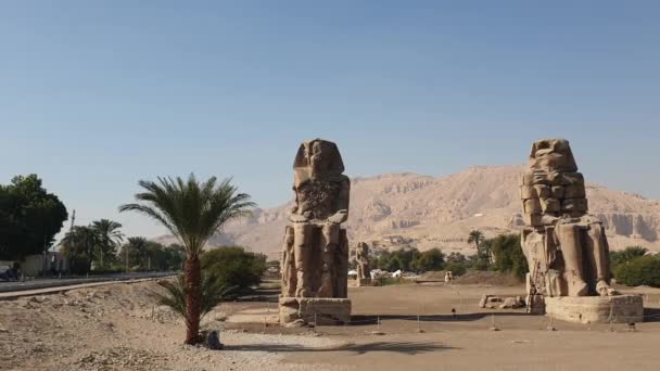 Colossi Memnon Fischietto Statue Faroah Luxor Egitto — Video Stock