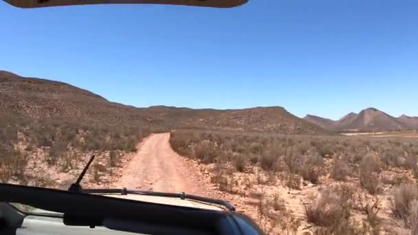 South Africa Conservation Game Drive Landscape Point View Jeep Open — Stock Video