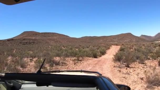 South Africa Conservation Game Drive Landscape Point View Jeep Open — Stock Video