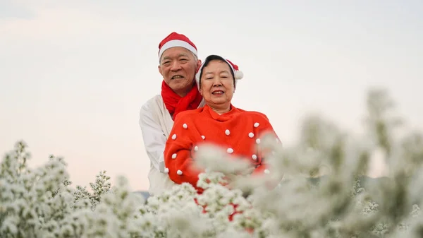 亚洲老年夫妇庆祝圣诞佳节白花红毛衫积极向上的幸福感 — 图库照片