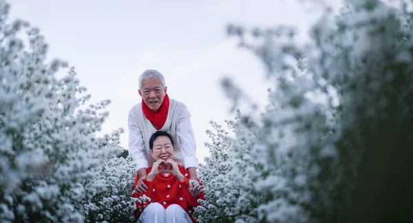 亚洲老年夫妇庆祝圣诞佳节白花红毛衫积极向上的幸福感 — 图库照片