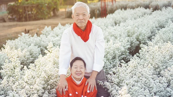 Asyalı Yaşlı Çift Noel Bayramını Kutluyor Beyaz Çiçek Kırmızı Kazak — Stok fotoğraf