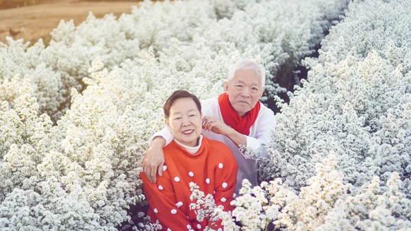 Asiatisches Senioren Paar Feiert Weihnachten Weiße Blume Und Roten Pullover — Stockfoto