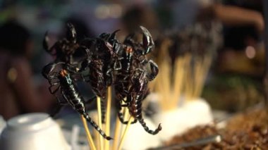 Asya Tayland 'da kızarmış böcekler ve akrepler.