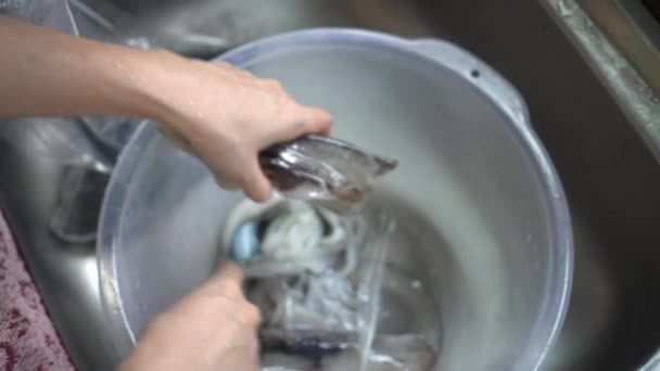 Mano Tomando Hueso Calamar Del Cuerpo Preparando Mariscos — Vídeo de stock