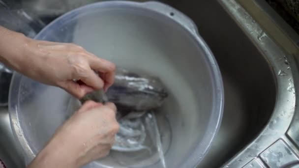 Mano Tomando Hueso Calamar Del Cuerpo Preparando Mariscos — Vídeo de stock