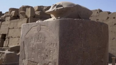Karnak Tapınağı kompleksindeki kutsal hayvan hiyeroglifleriyle birlikte Scarab Beetle heykeli.